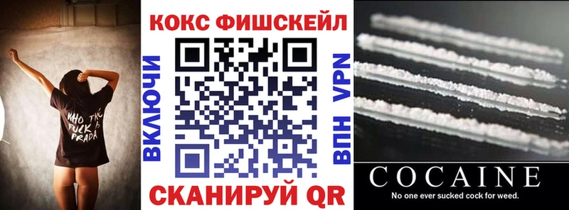 Cocaine FishScale  как найти закладки  Зима 