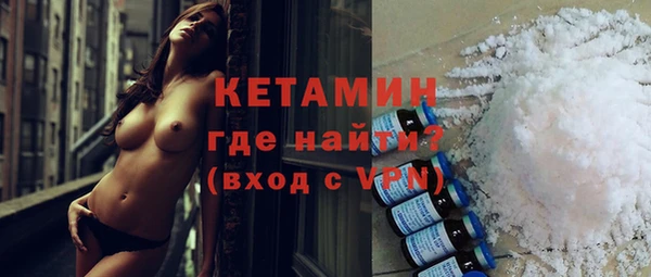 индика Богданович