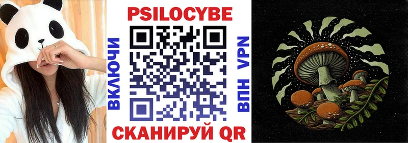Псилоцибиновые грибы мухоморы  Зима 